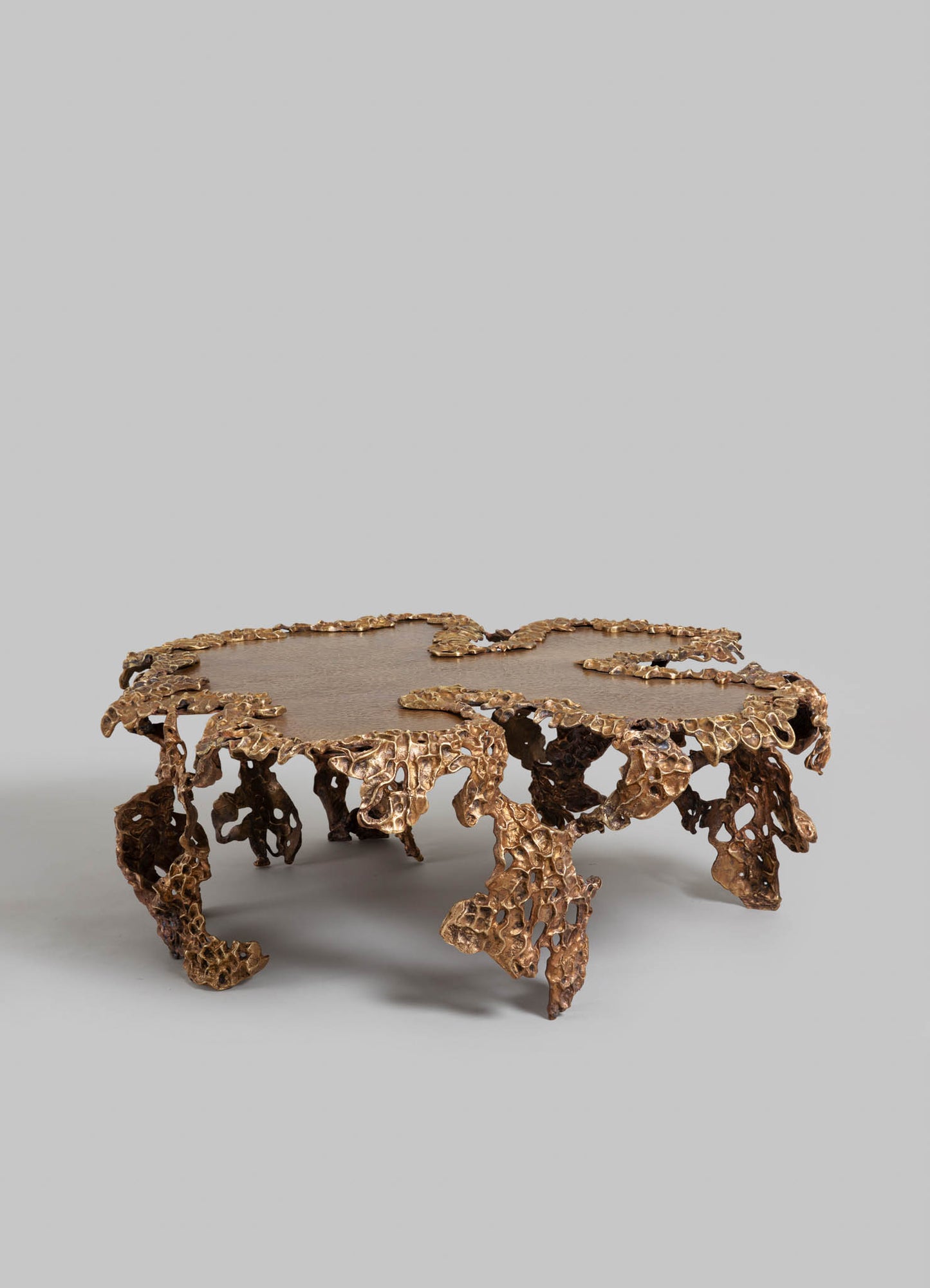 A decorative coffee table with an organic, coral-inspired design in metallic bronze or gold finish, featuring a textured, openwork structure and irregular edges.