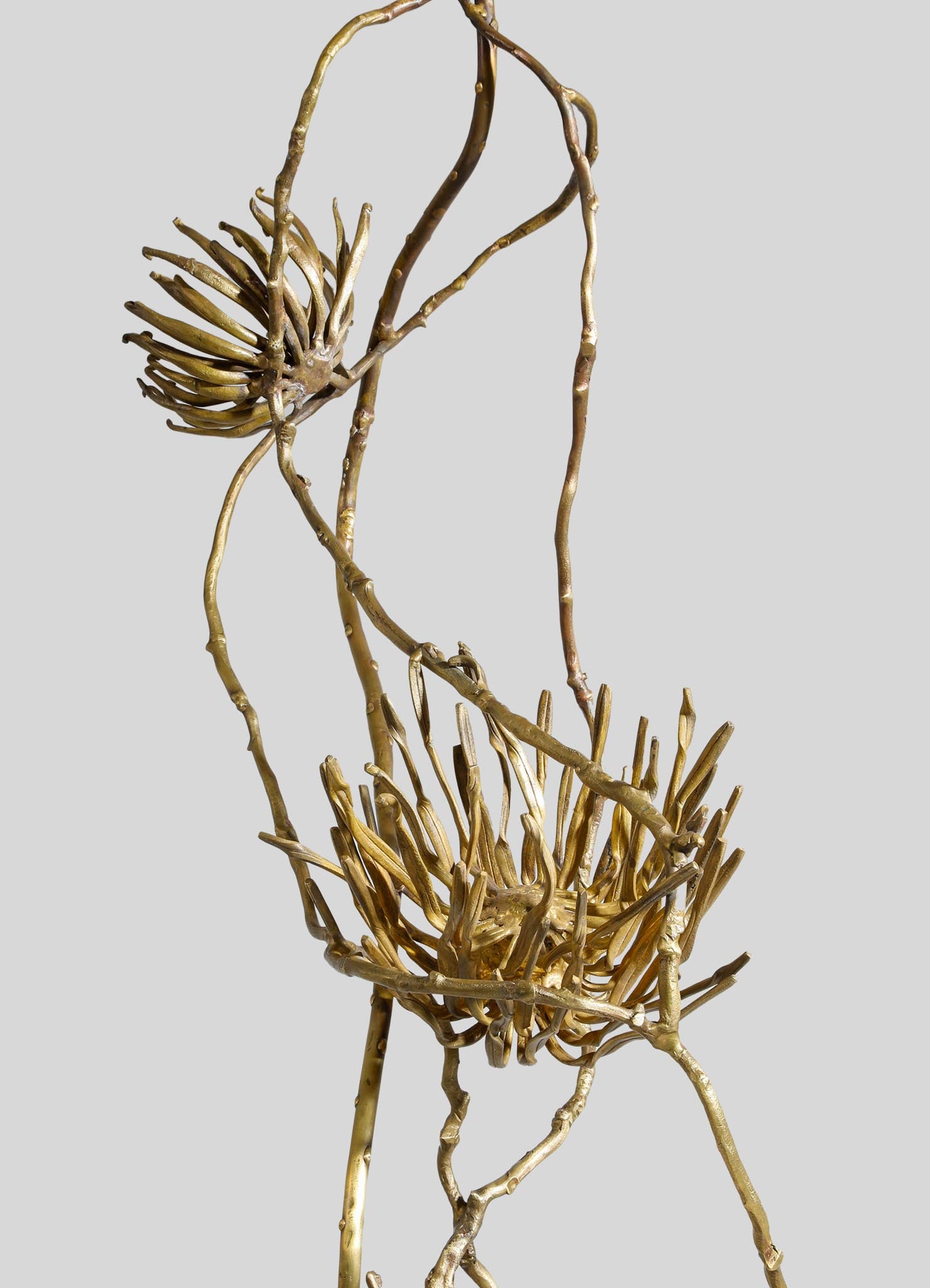 Brass sculpture with organic, branch-like forms and a metallic gold finish, featuring flower-like motifs with elongated petals, presented against a plain background.