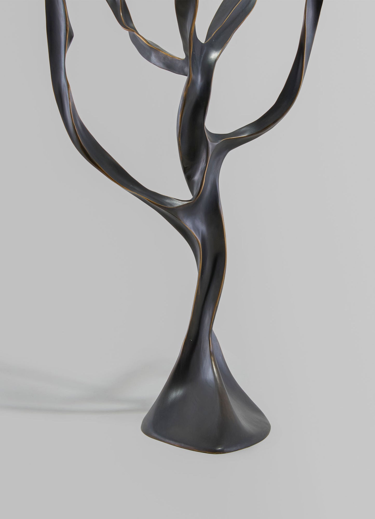 A sculptural metal lamp with an abstract, organic design in a dark matte finish with subtle gold accents, set against a plain background. The piece features flowing, curved lines resembling natural forms, emphasizing contemporary style.