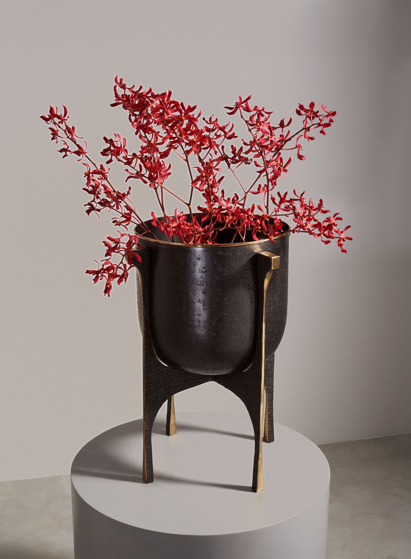 A black ceramic vase with a textured finish and gold accents, supported by a black and gold stand, holds a arrangement of red, elongated, star-shaped flowers.