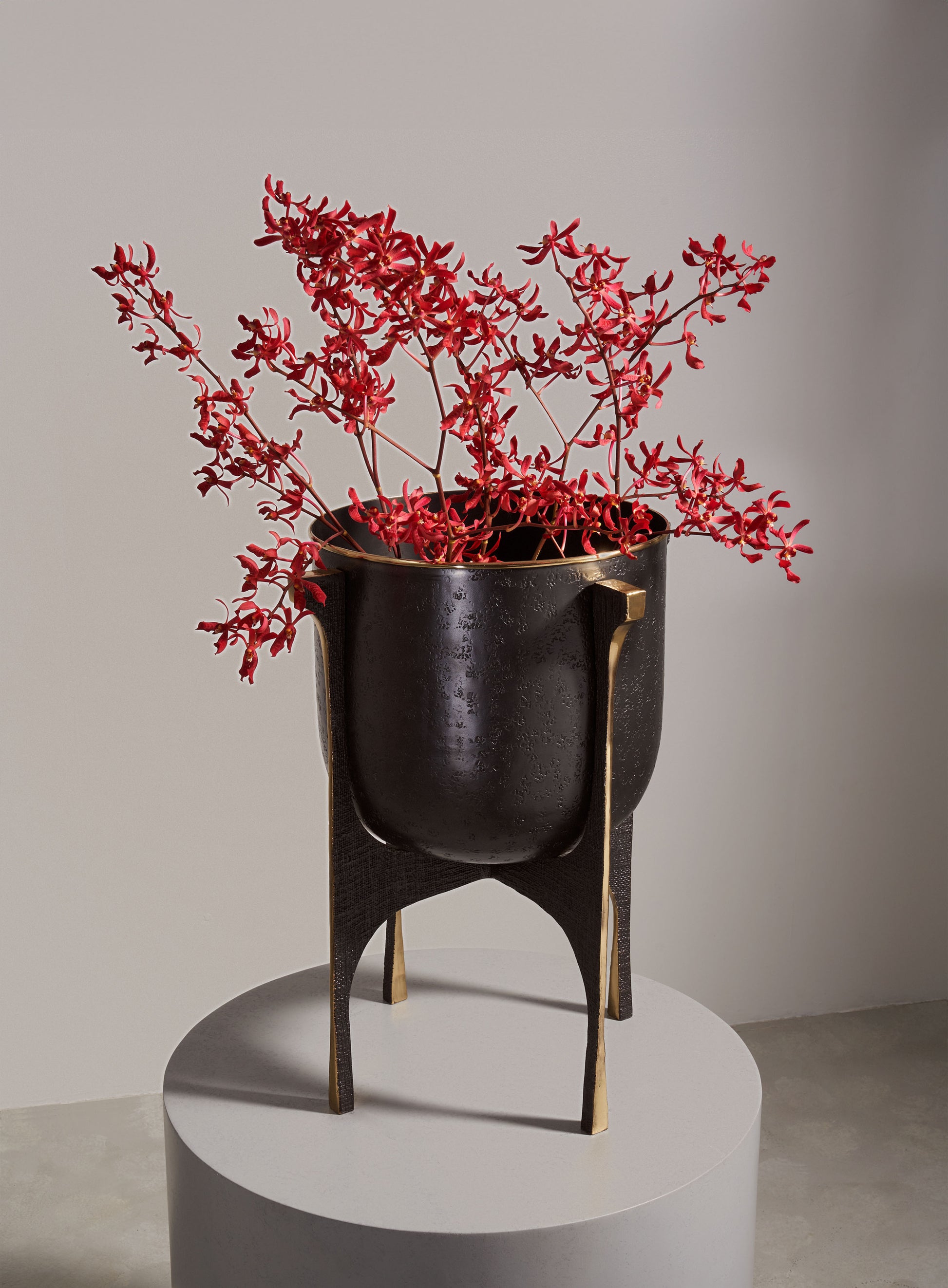 A black ceramic vase with a textured finish and gold accents, supported by a black and gold stand, holds a arrangement of red, elongated, star-shaped flowers.