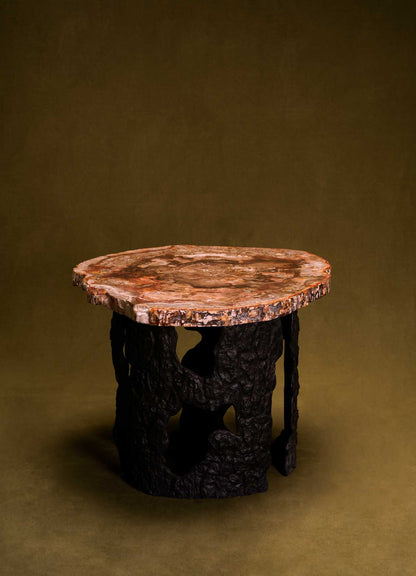 Viya Fossil Table