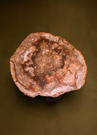 Viya Side Table Fossil